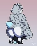 absurd_res anthro balls big_balls big_butt blue_glans butt crouching digital_media_(artwork) feet felid fur genitals glans glistening grey_body grey_fur hi_res hindpaw huge_butt kneeling looking_at_viewer looking_back looking_back_at_viewer male mammal nude nude_anthro nude_male overweight overweight_male pantherine pawpads paws penis presenting presenting_hindquarters rear_view samirachuni simple_background slightly_chubby smile smiling_at_viewer smirk snow_leopard solo thick_penis thick_thighs