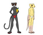 3_toes 4_fingers anthro areola bared_teeth biped black_body black_fur black_nose black_tail brown_tail carl_(skeletronic) cheek_tuft chest_tuft clancy_(skeletronic) clothed clothed_anthro clothed_male clothing collarbone colored digital_drawing_(artwork) digital_media_(artwork) domestic_cat duo facial_tuft feet felid feline felis fingers flat_colors food footwear fruit fur grey_areola grey_body grey_fur grey_nipples grin happy humanoid_feet humanoid_hands long_tail male male_anthro mammal multicolored_body multicolored_clothing multicolored_fur murid murine navel nipples no_shading orange_sclera pineapple pink_areola pink_feet pink_hands pink_nipples pink_nose pink_tail plant plantigrade pupils rat red_clothing rodent sandals shoes simple_background skeletronic skinny skinny_anthro skinny_male small_nose smile speedo standing swimwear tail toes tuft white_background white_clothing