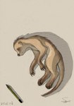 after_transformation anthro_to_feral brown_body brown_fur eleode eyes_closed feral fur herpestid lying male mammal meerkat on_side pencil_(object) shrunk simple_background solo striped_body striped_fur stripes titash_(character) transformation unconscious whiskers