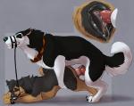 Rating: e
ID: 1482048
Date: 2018-03-13 13:40:52 -0400
Status: active
Score: 160
2018 4_toes alaskan_malamute all_fours ambiguous_fluids animal_genitalia animal_penis animal_vulva ass_up balto_(series) black_body black_fur black_hair black_nose blue_nose bodily_fluids brown_body brown_fur canid canine canine_genitalia canine_penis canine_vulva canis collar cum cum_in_vagina cum_inside doggystyle domestic_dog duo ears_back erection eyes_closed feet female female_penetrated feral feral_on_feral from_behind_position fur genital_fluids genitals german_shepherd hair half-closed_eyes herding_dog hi_res knot knotting leash leashed_top male male/female male_penetrating male_penetrating_female mammal marjani multicolored_body multicolored_fur muzzle_(object) muzzled narrowed_eyes nordic_sled_dog pastoral_dog penetration penile penile_penetration penis penis_in_vagina pivoted_ears power_bottom raven_(psy101) red_penis sex sharp_teeth side_view simple_background spitz standing steele_(balto) tail teeth toes two_tone_body two_tone_fur universal_studios vaginal vaginal_fluids vaginal_knotting vaginal_penetration vein vulva white_body white_fur post #1482048