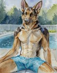Rating: q
ID: 5022679
Date: 2024-09-01 01:18:48 -0400
Status: active
Score: 93
2024 abs anthro biceps biped blue_clothing brown_body brown_fur bulge canid canine canis clothed clothing creeps detailed_background domestic_dog fur german_shepherd herding_dog looking_at_viewer male male_anthro mammal muscular muscular_anthro muscular_male navel nipples orange_eyes painting_(artwork) pastoral_dog pecs poolside realistic realistic_anatomy realistic_anthro realistic_fur realistic_lighting realistic_shading signature solo swimming_trunks swimwear tan_body tan_fur topless topless_anthro topless_male traditional_media_(artwork) traditional_painting_(artwork) traditional_watercolor_(artwork) watercolor_(artwork) website_url post #5022679