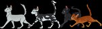 2020 alpha_channel ambiguous_gender black_body black_fur blue_eyes character_name digital_drawing_(artwork) digital_media_(artwork) digitigrade domestic_cat emberkit_(cloudstar's_journey) eyes_closed felid feline felis feral flat_colors fur grey_body grey_fur group hatchkit_(warriors) hi_res mammal mistlekit_(skyclan) nifty-senpai orange_body orange_fur pawpads paws pink_pawpads raised_tail simple_background smile tail transparent_background walking warriors_(book_series) webkit_(warriors) young young_ambiguous young_feral