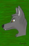 anthro canid canine canis fur grey_body grey_fur head hi_res magnumwolfie male mammal side_view solo teeth wolf yellow_eyes