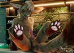 Rating: e
ID: 5263700
Date: 2024-12-24 19:24:10 -0500
Status: active
Score: 45
3d_(artwork) anthro balls balls_on_tail brown_hair c4d cinema_4d_(artwork) daytia digital_media_(artwork) fur genitals hair hi_res knot knotted_penis male open_mouth pawpads paws penis pose posed rexouium sex smile solo tail text url warm_colors warm_lighting white_body white_fur post #5263700
