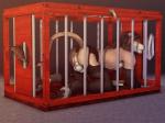 Rating: e
ID: 464241
Date: 2014-04-03 09:05:35 -0400
Status: active
Score: 139
4:3 all_fours anthro arm_warmers armwear bdsm bondage bound butt buttplug cage caged chastity_cage chastity_device chest_tuft clothed clothing crossdressing felid femboy fur garter_belt garter_straps legwear lion male mammal nude pantherine perineum plug_(sex_toy) raised_tail sex_toy sheath_cage sniffing sniffing_clothes solo stockings submissive submissive_male tail tuft underwear underwear_sniffing virtyalfobo post #464241
