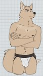 2024 amber_eyes anthro biped black_nose body_hair brown_eyebrows bulge canid canine checkered checkered_background claws clothed clothing crossed_arms digital_drawing_(artwork) digital_media_(artwork) echo_(series) echo_project eyebrows fennec_fox fluffy fluffy_tail fox fur happy_trail hi_res inner_ear_fluff jockstrap jockstrap_only looking_at_viewer male male_anthro mammal multicolored_body multicolored_clothing multicolored_underwear muscular muscular_anthro muscular_male navel partially_clothed partially_clothed_male pattern_background portrait raised_tail simple_background slim solo standing tail tan_body tan_fur tan_inner_ear tan_inner_ear_fluff the_smoke_room three-quarter_portrait topless true_fox tsela_begay tuft underwear underwear_only unsafescapewolf whiskers white_background white_claws white_clothing white_jockstrap white_underwear