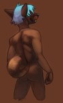 anthro back_muscles blue_hair butt canid canine canis domestic_dog hair hi_res male mammal micha_zehgers muscle_tone nude nude_anthro rear_view solo sowod standing tongue tongue_out