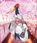 Rating: s
ID: 3903346
Date: 2023-03-01 23:17:08 -0500
Status: active
Score: 28
anthro asian_clothing avian beak bird breasts cherry_blossom cherry_tree clothed clothing crane_(bird) east_asian_clothing feathered_wings feathers female flower flower_on_head fruit_tree fully_clothed gruiform hi_res japanese_clothing long_neck outside plant proxer prunus_(flower) solo tree white_body white_feathers winged_arms wings yuriko_(aidagull) post #3903346