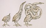 Rating: s
ID: 5542279
Date: 2025-05-01 17:12:55 -0400
Status: active
Score: 4
absurd_res ambiguous_gender avian beak belly bird bittern black_eyes claws feathered_wings feathers feral heron hi_res idlelizard long_neck painting_(artwork) pelecaniform solo striped_belly stripes watercolor_(artwork) wings yellow_beak yellow_sclera post #5542279