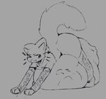 post #5219362