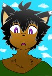 anthro canid canine child clothing dark_body dark_skin digital_media_(artwork) fox green_clothing green_shirt green_topwear hair hi_res hybrid male mammal model_sheet purple_eyes shirt sinisterslyfox solo topwear young