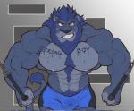 2018 abs anthro beard biceps big_muscles big_pecs blue_body blue_eyes blue_fur blue_hair blue_nipples bodily_fluids body_hair body_writing bottomwear bulge claws clothing english_text exercise facial_hair fangs felid fur hair happy_trail hi_res huge_muscles lion looking_at_viewer male mammal mane muscular muscular_anthro muscular_male nightterror nipples pantherine pecs pubes shorts simple_background solo sweat tail tail_tuft teeth text text_on_body tuft workout writing_on_chest