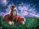 Rating: s
ID: 3789627
Date: 2023-01-03 17:16:41 -0500
Status: active
Score: 10
2023 anthro black_nose brown_hair canid canine detailed_background digital_media_(artwork) digital_painting_(artwork) ear_piercing ear_ring flashw fox fur grass hair male mammal multi_tail night orange_body orange_fur outside painting_(artwork) piercing plant red_fox ring_piercing sky solo star starry_sky tail true_fox white_body white_fur post #3789627