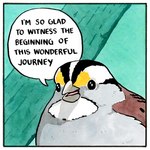 1:1 ambiguous_gender avian beady_eyes beak bird black_body black_feathers border branch brown_body brown_feathers dialogue english_text falseknees feathers feral glistening glistening_eyes nature nature_background open_beak open_mouth sarcasm solo speech_bubble text tongue traditional_media_(artwork) white-throated_sparrow white_body white_border white_feathers wings yellow_body yellow_feathers