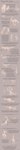 Rating: s
ID: 4791281
Date: 2024-05-18 14:06:42 -0400
Status: active
Score: 20
absurd_res amphibian antelope anthro avian bird bovid canid canine crocatiel digitigrade dinosaur document dromaeosaurid english_text feral frog gazelle hi_res hopping information jesseth jumping lagomorph leporid long_image mammal model_sheet ostrich paws prehistoric_species rabbit ratite reptile scalie sketch tail tall_image text text_emphasis theropod tyrannosaurid tyrannosauroid tyrannosaurus tyrannosaurus_rex post #4791281