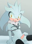 balls blush erection eulipotyphlan genitals hedgehog hi_res idw_publishing kuretto looking_at_viewer male mammal nipples penile penis sega silver_the_hedgehog solo sonic_the_hedgehog_(comics) sonic_the_hedgehog_(idw) sonic_the_hedgehog_(series)