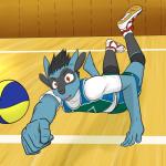 1:1 anthro anthrofied ball canid canine clothing fuze generation_4_pokemon gym hi_res male mammal nintendo pokemon pokemon_(species) pokemorph riolu shirt skyler_(fuze) solo sport t-shirt tank_top topwear volleyball volleyball_(ball)