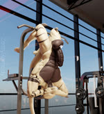 2024 3d_(artwork) 3d_animation abs animated anthro artist_name back_muscles balls barazoku big_balls big_muscles big_penis digital_media_(artwork) dragon erection european_mythology exercise genitals gym hands_behind_head hanging_by_legs hi_res horn humanoid_genitalia humanoid_penis inside loop male manly muscular muscular_anthro muscular_male mythological_creature mythological_scalie mythology no_sound non-mammal_balls nude obliques pecs penis rithe saggy_balls scalie serratus short_playtime sit-up solo tail tattoo upside_down webm western_dragon window wingless_dragon workout zestyremedy