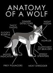 absurd_res ambiguous_gender anatomy_of black_background black_nose canid canine canis claws english_text feral fur grey_body grey_eyes grey_fur hi_res humor mammal paws quadruped quads simple_background solo standing text white_body white_fur wolf zillion_ross