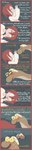 absurd_res blush bodily_fluids caught_in_the_act cave clothed clothing comic detailed_background dialogue english_text female feral gastropod group hair hi_res hole_(pit) horn human inside long_image lying male male/female mammal mollusk on_side red_hair sand shane_frost slug sweat tall_image text trio yellow_eyes