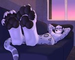 3dinoz 5:4 anthro curling_toes feet felid foot_focus furniture hands_behind_head low-angle_view lying male mammal on_back pantherine pawpads paws sleeping snow_leopard sofa solo tail