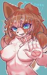 2024 4_fingers 5:8 anthro areola biped blue_eyes blush blush_lines breasts brown_body brown_hair canid canine canis chinese_text collar collar_only collarbone cute_fangs dialogue domestic_dog exposure_variation eyelashes fangs female fingers gesture hair hand_gesture heart_symbol hi_res kemono lok_cat looking_at_viewer mammal medium_breasts nipples nude open_mouth pawpads pink_areola pink_nipples solo standing stop_gesture teeth text translated ventral_groove white_body