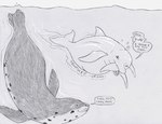 2018 abdominal_bulge almost_fully_inside ambiguous_feral ambiguous_gender ambiguous_pred ambiguous_prey belly big_belly blowhole burping cetacean dialogue dolphin dorsal_fin english_text female_(lore) feral feral_pred feral_prey fin flippers flukes greyscale group hatching_(art) head_first hi_res leopard_seal male_(lore) mammal marine monochrome natiq oral_vore pinniped salome_(strega) same_size_vore seal shaded speech_bubble strega talking_feral text toothed_whale trio underwater vore water