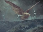 4:3 ambiguous_gender avian bird blue_eyes feral forest generator looking_at_viewer macro mountain owl plant raining size_difference solo storm thunder toy(e) tree wings