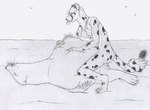 2024 abdominal_bulge after_vore ambient_bird ambiguous_gender ambiguous_prey anthro anthro_on_feral anthro_penetrated avian belly belly_rub bestiality big_belly biped bird bottomless bra bra_only breasts callie_(strega) cheetah clothed clothing coiled_tail cowgirl_position digestion_noises duo erection feet felid feline female female_penetrated feral feral_penetrating feral_penetrating_anthro feral_pred from_front_position fully_inside fur genitals hi_res interspecies lying male male/female male_penetrating male_penetrating_female male_pred mammal marine markings membrane_(anatomy) on_back on_bottom on_top penetration penile penile_penetration penis penis_in_pussy pinniped prehensile_tail quadruped sand sea_lion sex sex_with_pred spots spotted_body spotted_fur strega tail toes tongue tongue_out traditional_media_(artwork) underwear underwear_only vaginal vaginal_penetration vore webbed_feet webbed_hands whiskers