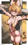 absurd_res bikini bow_ribbon breasts chain clothed clothing crucifixion cuff_(restraint) female fur hi_res humanoid ipalpua iparupua kemono_friends legwear restraints serval-chan shackles skimpy solo swimwear tail thigh_highs two-piece_swimsuit yellow_eyes