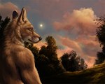 Rating: s
ID: 5610101
Date: 2025-05-30 19:14:04 -0400
Status: active
Score: 27
2016 5:4 anthro black_ear_tips black_nose canid canine cloud digital_media_(artwork) dipstick_ears ear_markings eyewear fox fur glasses half-length_portrait male mammal multicolored_ears nature nature_background neck_tuft orange_body orange_eyes orange_fur photo_manipulation plant pointy_ears portrait prick_ears rukis sky solo sun three-quarter_view tree tuft wearing_glasses whisker_spots y-foxy post #5610101