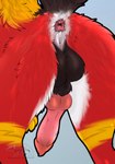 Rating: e
ID: 5541283
Date: 2025-05-01 07:36:43 -0400
Status: active
Score: 31
animal_genitalia anus balls black_body black_fur canid canine canis erection feral fur genitals hi_res knot male mammal penis pink_anus pink_knot pink_penis poppy_feral raised_tail red_body red_fur sheath solo tail white_body white_fur wolf post #5541283