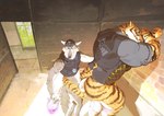 Rating: e
ID: 4592308
Date: 2024-02-11 09:10:13 -0500
Status: active
Score: 182
2024 abandoned abandoned_building against_surface against_wall anthro anthro_on_anthro balls beverage biceps big_butt big_muscles bottomless bottomless_anthro bottomless_male butt canid canine canis clothed clothing detailed_background digital_media_(artwork) duo epic_games erection fangs felid flowberry_fizz fortnite fur genitals hot_dogging humanoid_genitalia humanoid_penis imminent_anal imminent_sex larger_male looking_back male male/male mammal muscular muscular_anthro muscular_male muscular_thighs orange_body orange_fur oryzaviridi oscar_(fortnite) pantherine penis prodding sex shirt size_difference small_dom_big_sub small_top_big_bottom smaller_male smile stripes tail teeth tiger tongue tongue_out topwear wendell_(fortnite) white_body white_fur wolf post #4592308