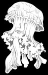 Rating: s
ID: 4467414
Date: 2023-12-12 00:42:12 -0500
Status: active
Score: 3
2023 ambiguous_gender armless black_background cnidarian earless eyeless feral iliothermia jellyfish legless marine markings medusozoan monochrome mouthless noseless simple_background solo spots spotted_body white_body post #4467414