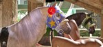 Rating: e
ID: 4986435
Date: 2024-08-14 19:41:19 -0400
Status: active
Score: 108
3d_(artwork) barn bestiality bridle digital_media_(artwork) duo equid equine fellatio feral genitals grandstand hi_res horse human male male/male mammal oral penile penis racing saddle sex tack trioami260 post #4986435