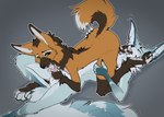 2023 69_position anthro anthro_on_bottom anthro_on_top balls biped black_body black_fur blue_body blue_fur bodily_fluids canid canine cum cum_in_mouth cum_inside cum_on_face cum_on_penis digital_media_(artwork) duo ejaculation erection feet fellatio female female_on_top foot_fetish foot_in_mouth foot_play fur genital_fluids genitals green_eyes grey_background male male/female male_on_bottom mammal maned_wolf multicolored_body multicolored_fur on_bottom on_top oral orange_body orange_fur orgasm orgasm_face penile penis pink_penis ruaidri sex shivier_hailgaze simple_background tahlia_(ruaidri) tail toe_in_mouth toes white_balls white_body white_fur