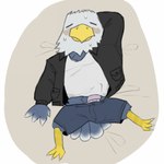 1:1 accipitrid accipitriform animal_crossing anthro apollo_(animal_crossing) avian bald_eagle bird blush bodily_fluids bulge clothed clothing eagle erection erection_under_clothing feathers genitals hands_behind_head hi_res jacket leather leather_clothing leather_jacket leather_topwear lucusfox male mature_male nintendo penis sea_eagle shirt solo sweat tank_top tired topwear underwear