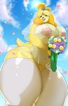 absurd_res animal_crossing anthro areola belly big_breasts black_nose blonde_hair bouquet breasts canid canine canis clothing cloud domestic_dog dress eyes_closed female flower hair happy hi_res huge_breasts ineffective_clothing isabelle_(animal_crossing) legwear lingerie mammal navel nintendo nipples open_mouth open_smile outside plant princess_samoyed shih_tzu sky slightly_chubby slightly_chubby_anthro slightly_chubby_female smile solo standing tail thick_thighs thigh_high_stockings thigh_highs toy_dog translucent translucent_clothing wedding_dress yellow_body yellow_tail