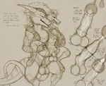 anthro balls bodily_fluids canid canine canis cervical_penetration cum cum_drip cum_in_ovaries cum_in_urethra cum_inside cum_reservoir_in_penis dialogue dragon dripping duo english_text fellowwolf foreskin gariyuu genital_fluids genitals half-erect herm hybrid imminent_impregnation imminent_orgasm impregnation internal internal_vaginal intersex intersex/male landon_(fellowwolf) leaking_precum male maleherm mammal multiple_ova mythological_creature mythological_scalie mythology ovary_inflation ovum penetration penis penis_xray precum precum_in_uterus retracted_balls retracted_foreskin reverse_stand_and_carry_position saggy_balls scalie sex sperm_cell standing standing_sex tail text vaginal vaginal_penetration wolf xray_view