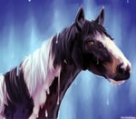 Rating: s
ID: 2359118
Date: 2020-08-05 20:46:29 -0400
Status: active
Score: 10
2020 ambiguous_gender black_body black_ears black_face black_fur black_mane blaze_(marking) blue_background brown_eyes danji-isthmus digital_media_(artwork) digital_painting_(artwork) equid equine eyelashes facial_markings feral fur head_markings headshot_portrait hi_res horizontal_pupils horse looking_at_viewer mammal mane markings multicolored_body multicolored_face multicolored_fur multicolored_mane painting_(artwork) portrait pupils quadruped simple_background snout solo two_tone_body two_tone_face two_tone_fur two_tone_mane white_body white_face white_fur white_mane post #2359118