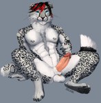 anthro balls felid feline genitals hi_res i-psilone male mammal nude pantherine penis piercing sitting snow_leopard solo zamhiir_cinderpaw