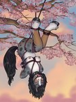 Rating: e
ID: 5551274
Date: 2025-05-05 17:23:30 -0400
Status: pending
Score: 9
2025 anthro areola ball_gag bdsm black_hair black_mane black_tail bondage bound breasts collar digital_media_(artwork) dobiesketch equid equine eyebrows eyelashes eyes_closed feathering female fur gag hair hands_behind_back hi_res hooves horse mammal mane multicolored_body nipples outside plant restraints rope rope_bondage rope_harness solo suspension suspension_bondage tail tree upside_down post #5551274