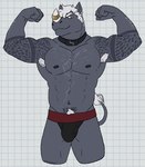 2024 abs accessory anthro arm_hair arm_tattoo armpit_hair biped black_clothing black_underwear body_hair bulge checkered checkered_background chest_hair chest_scar clothed clothing collar detailed_bulge digital_drawing_(artwork) digital_media_(artwork) eyebrows fist flexing furgonomics genital_outline grey_body grey_nipples hair happy_trail hi_res horn horn_accessory jockstrap jockstrap_only king_(remember_the_flowers) looking_down male male_anthro mammal multicolored_clothing multicolored_underwear muscular muscular_anthro muscular_male nipples partially_clothed partially_clothed_male pattern_background pecs penis_outline portrait red_eyes remember_the_flowers rhinoceros scar simple_background solo standing tattoo three-quarter_portrait topless underwear underwear_only unsafescapewolf white_background white_eyebrows white_hair white_horn white_sclera