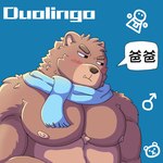 1:1 anthro barazoku bear blue_background blush brown_body brown_fur chinese_text cute_fangs duolingo falstaff_(duolingo) fur gender_symbol half-length_portrait jiangbingya male male_symbol mammal mostly_nude muscular muscular_male nipples pecs pictographics portrait scarf scarf_only simple_background solo speech_bubble symbol text