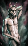 abs amber_eyes anthro athletic biceps black_nose canid canine canis claws covering covering_self frown fur grey_body grey_fur hand_behind_head imiak jackal jewelry leaning looking_at_viewer male mammal muscular muscular_anthro navel necklace nicolas_(imiak) nipples nude orange_eyes pecs pendant piercing pose solo