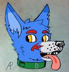 blue_body blue_fur canid canine canis collar derp_(character) derp_the_soyacfartala_(artist) digital_media_(artwork) domestic_dog feral fur headshot_portrait male mammal markings portrait red_markings sketch solo tongue tongue_out wolf yellow_eyes