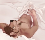 2012 anthro bed bed_sheet bedding body_hair bulge canid canine canis chest_tuft demicoeur dereck_dingo detailed_bulge digital_media_(artwork) dingo erection facial_hair fur furniture genital_outline goatee green_eyes happy_trail looking_up male mammal morning_wood muscular muscular_anthro muscular_male navel nipples on_bed pecs penis_outline solo tenting tuft under_covers