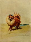 Rating: s
ID: 5552246
Date: 2025-05-06 02:16:44 -0400
Status: active
Score: 8
1910 20th_century ambiguous_gender ancient_art black_nose blue_ribbon brown_body brown_fur canid canine canis domestic_dog feral fluffy full-length_portrait fur looking_at_viewer mammal maud_earl mouth_closed pomeranian portrait shaded shadow signature simple_background snout soft_shading solo spitz tail tan_background tan_body tan_fur three-quarter_view traditional_media_(artwork) walking post #5552246