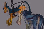 Rating: e
ID: 5380911
Date: 2025-02-18 00:47:32 -0500
Status: active
Score: 172
4_fingers 4_toes anus avian backsack ball_sniffing ball_tuft balls blue_body blue_eyes blue_fur brown_claws claws dragon duo ears_back eyes_closed feathered_wings feathers feet feral feral_on_feral fingers fur furred_dragon furred_scalie genitals grey_background gryphon hi_res male male/male maplegryph musk musk_clouds mythological_avian mythological_creature mythological_scalie mythology o_o pawpads perineum pink_anus pink_pawpads pivoted_ears scalie simple_background sniffing steam teavern toes tuft wings post #5380911