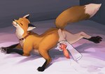 Rating: e
ID: 3562608
Date: 2022-09-12 11:47:56 -0400
Status: active
Score: 759
4_toes ambiguous_gender anatomically_correct anatomically_correct_genitalia animal_genitalia animal_penis anthro anthro_on_feral anus aroused backsack balls bestiality black_body black_ears black_fur black_nose black_pawpads bodily_fluids brown_body brown_collar brown_fur butt canid canine canine_genitalia canine_penis claws collar collar_only countershading cum cumshot detailed_background digital_media_(artwork) digitigrade disembodied_hand duo ears_up ejaculation erection eyes_closed fangs feet feral feral_focus finger_claws fluffy fluffy_tail fox fur genital_fluids genitals gloves_(marking) handjob handjob_from_behind happy hi_res holding_another's_knot holding_another's_penis holding_knot holding_penis inside knot knot_grab knot_tugging leather leather_collar leg_markings looking_pleasured lying male male/ambiguous mammal markings momou nude open_mouth orange_body orange_fur orgasm orgasm_face pawpads paws penile penis penis_backwards penis_grab pink_knot pink_penis pink_tongue quadruped raised_tail rear_view red_fox red_fox_(f3ral) sex shaded side_view snout socks_(marking) solo_focus tail teeth toe_claws toes tongue tongue_out true_fox white_body white_fur white_inner_ear post #3562608